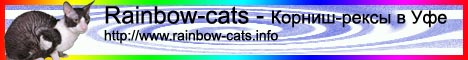 Ranbow Cats - корниш-рексы в Уфе